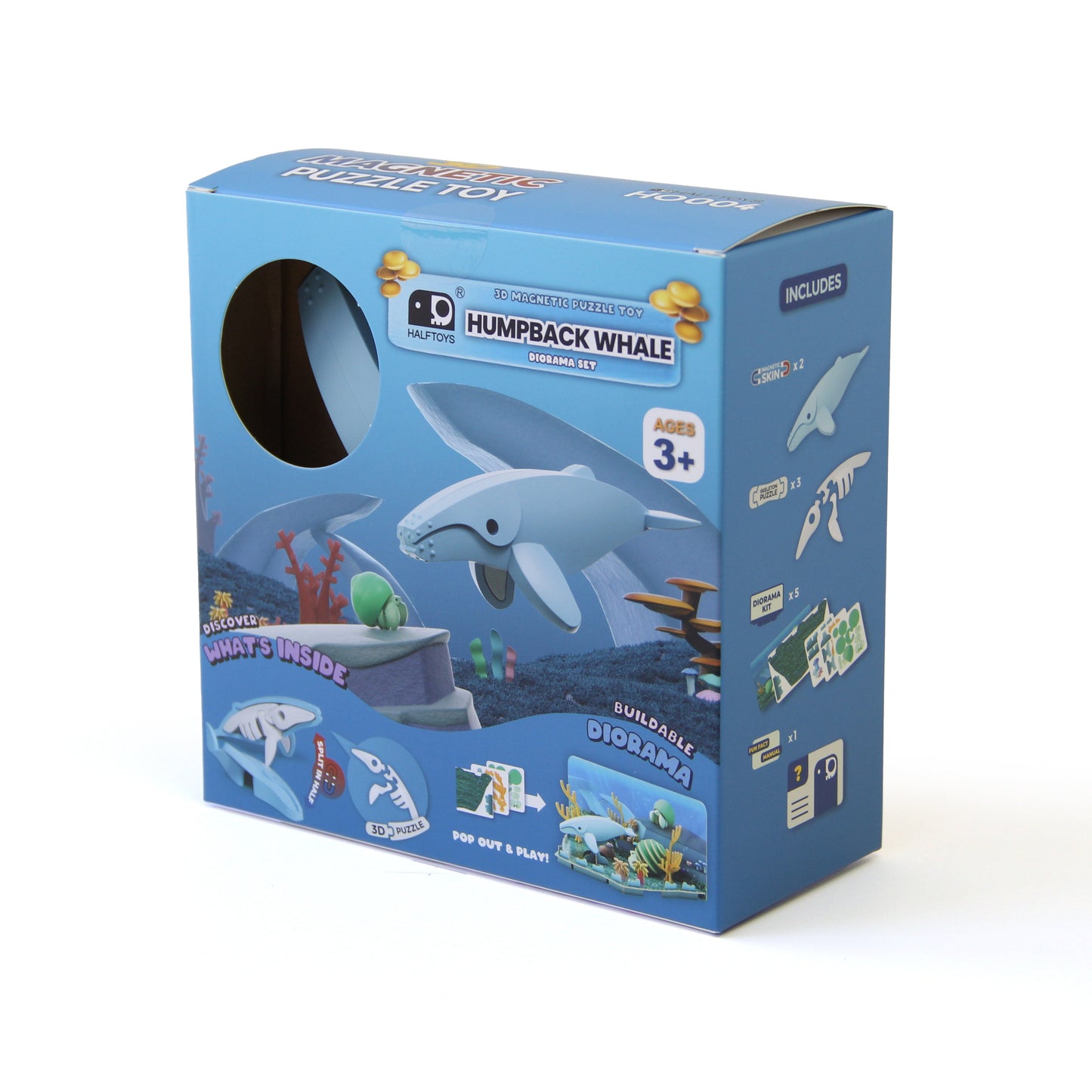 HUMPBACK WHALE